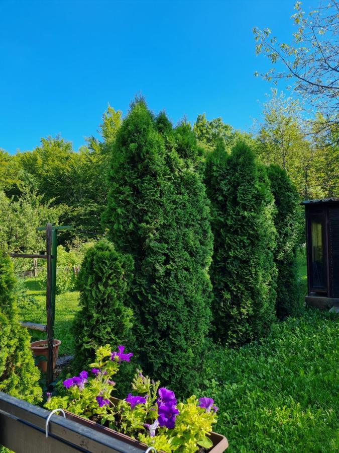 Kuca Za Odmor Hodak Plitvička Jezera Exterior foto